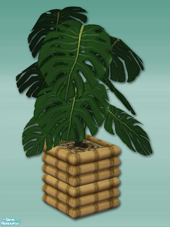 Sims 2 — Bamboo Bay - Plant Tall by Shakeshaft — Part of a set of Bamboo Furnishings for your sims beaches or patios, set