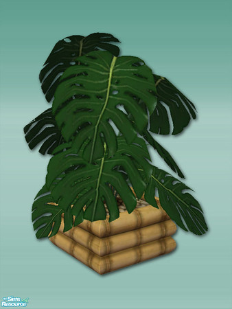Sims 2 — Bamboo Bay - Plant by Shakeshaft — Part of a set of Bamboo Furnishings for your sims beaches or patios, set