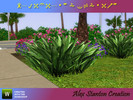 Sims 3 — Aspidistra elatior set by alex_stanton1983 — There is a new plant to decorate your massifs. You wonder about his