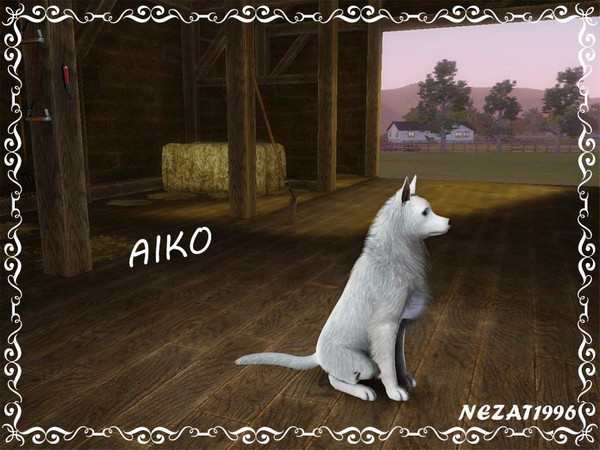 Sims 3 — Aiko by nezat19962 — Aiko is a female, she is cute, fluffy dog who loves to play with children. Aiko is neat,