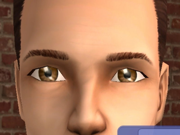 Sims 2 — Zalige\'s Complete Eye Set - dark brown by zaligelover2 — Complete with 10 eyes, 2 in each color. Out of the 2,