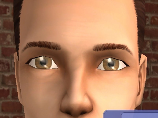 Sims 2 — Zalige\'s Complete Eye Set - light brown by zaligelover2 — Complete with 10 eyes, 2 in each color. Out of the 2,