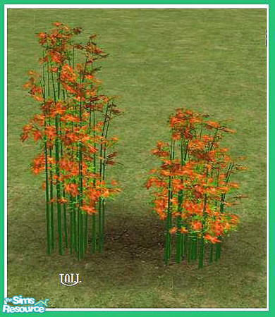 Sims 2 — Hidden Garden Flowering Grass Tall by cat3cm — A new flowering plant for the Hidden Garden Set.