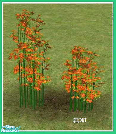 Sims 2 — Hidden Garden Flowering Grass Short by cat3cm — A new flower plant for the Hidden Garden Set.