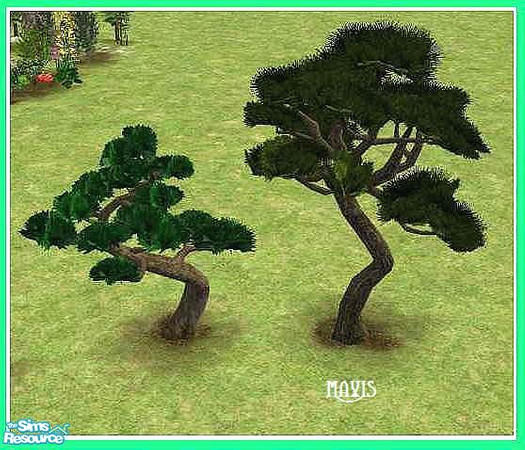 Sims 2 — Hidden Garden Bonsai Small by cat3cm — A new smaller version of the maxis file. Due to Maxis file settings this