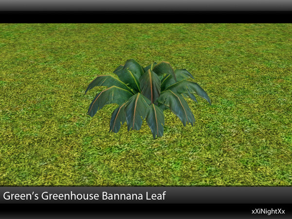 Sims 3 — Green's Greenhouse Bannana Leaf Thick by xiNightXx2 — A new banana leaf plant for sims 3.Its a bit thicker than