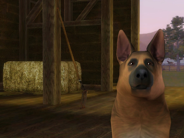 Sims 3 — Rex by smileface1012 — Rex is a german sheperd that is a police dog from the German Tv series 'Inspector Rex'.