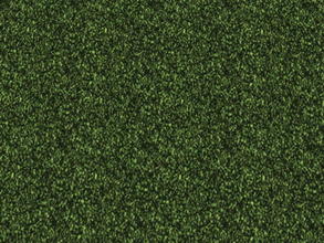 Sims 2 — The Lawn Set - 4 by zaligelover2 — Grassy ground covering.