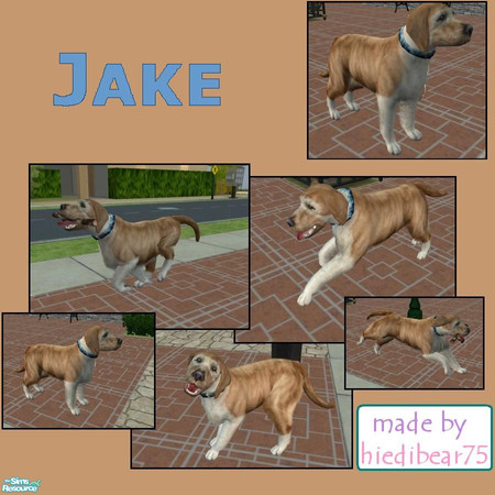 Sims 2 — Jake by hiedibear75 — He\'s younger than he looks and sweeter than a bowl of ice cream with Carmel syrup.