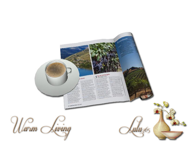 Sims 3 — Warm Living Magazine and Coffee Decor by Lulu265 — Part of the Warm Living Set Cup is CAStable Made by Lulu265