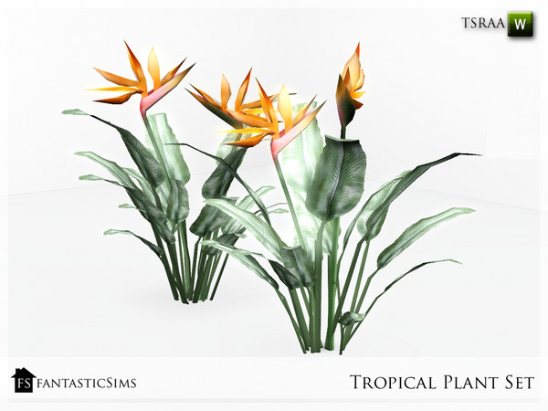 Sims 3 — Tropical Plant Bird of Paradise FS by fantasticSims — Tropical Plant Bird of Paradise FS fantasticSims TSR 2013