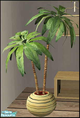 Sims 2 — Couchpotato - plant by steffor — 