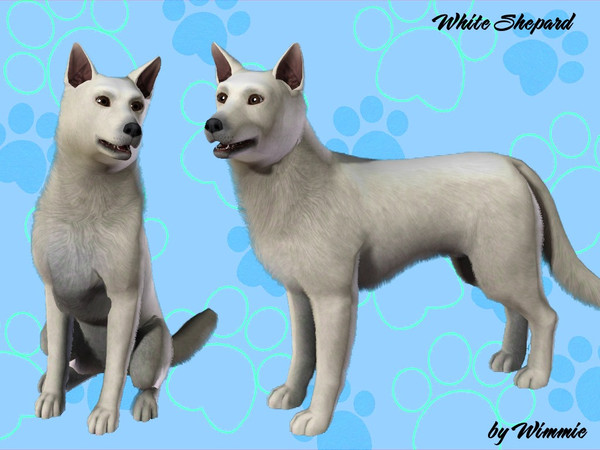 Sims 3 — White Shepherd by Wimmie — The White Shepherd Dog emerged from white coat lines of the German Shepherd Dog. The