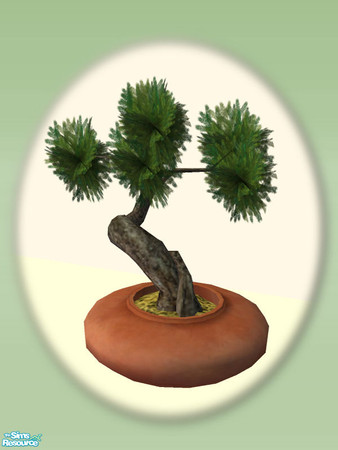 Sims 2 — Bonsai Pot - Mesh by Shakeshaft — Part of a set of objects for you to create an Oriental Style Garden for your