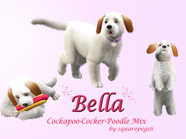 Sims 3 — Bella by squarepeg56 — Bella is a mixed breed dog-part cocker spaniel and part miniature poodle-a cockapoo!! She