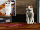 Sims 3 — Snoopy  by polinasid2 — The cutest cat on the internet is now coming to visit you in a sim-form! would you adopt