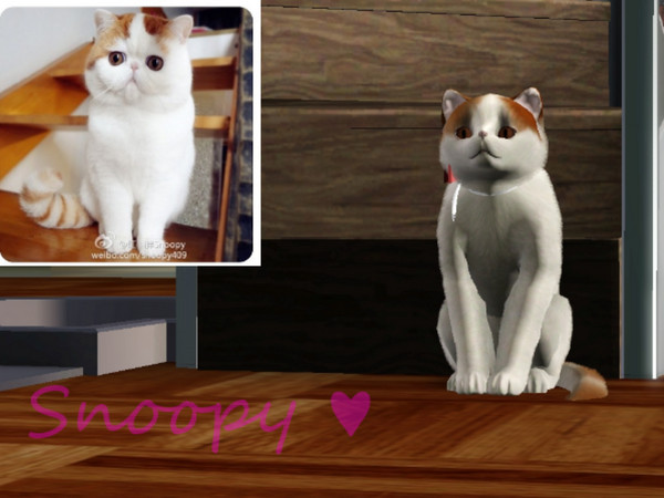 Sims 3 — Snoopy  by polinasid2 — The cutest cat on the internet is now coming to visit you in a sim-form! would you adopt