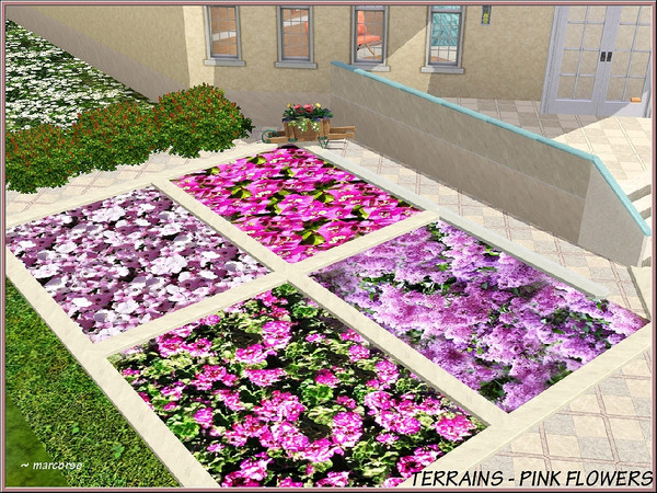 Sims 3 — Terrains-Pink Flowers_marcorse by marcorse — Four pretty terrain paints featuring pink flowers - bouganvillea,