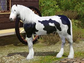 Sims 3 — Traveller Horse / Irish Tinker by Wimmie — The Irish Tinker, also known as the traveller Horse, traveller Cob,