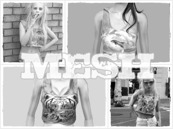 Sims 2 — MESH 1 by Nita_hc — - mesh-Catherine-afTopModSheerWings