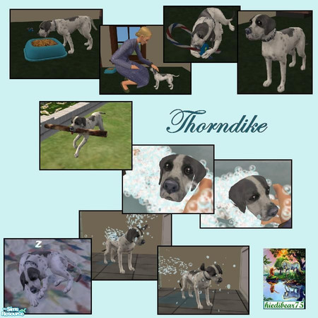 Sims 2 — Thorndike by hiedibear75 — Like the books from the publisher for which he was named this little guy will fill