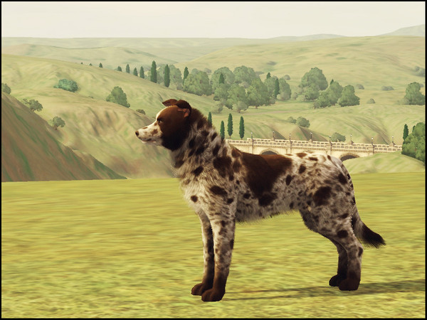 Sims 3 — Lucky by Xrinna — Growing up in the streets of Monte Vista the lone Lucky was always looking for a home. Will