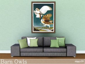 Sims 3 — Barn Owls by ziggy28 — A very beautiful natural history illustration by the artist John James Audubon