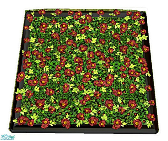 Sims 2 — New Daisies - Red by elainearora — A new collection of the finest hybrid daisies have just been developed, so be