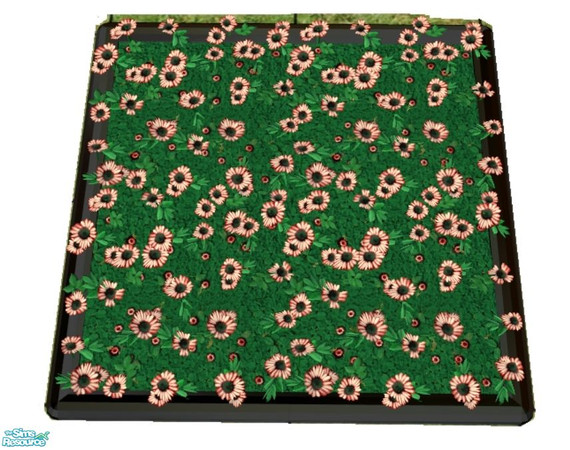 Sims 2 — New Daisies -White & Red by elainearora — A new collection of the finest hybrid daisies have just been