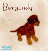 Sims 1 — Burgundy Dog by BloodMaple — 