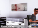 Sims 3 — Modern Painting by hydr02 — Give a nice touch of color to your room with this two in one painting !