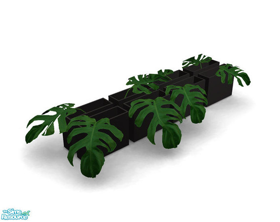 Sims 2 — Solar Bathroom - Philodendron Leaves by Murano — Philodendron leaves in black vases.
