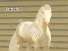 Sims 3 — Horse Portrait Poses by cathcreativecorner2 — I made these because I saw many needing them, and voila! Here they