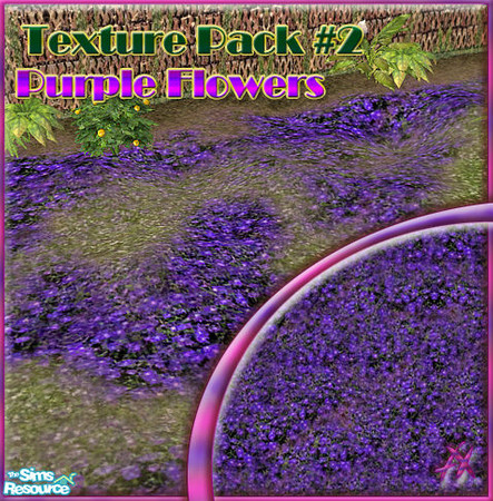Sims 2 — TP#2 - 4 different - Purple Flowers by Axanterre — Purple flowers. [You can use this outside TSR if you credit]