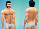 Sims 4 — Small White Boxer by koala11 — Smaller white boxer for sexy sims.