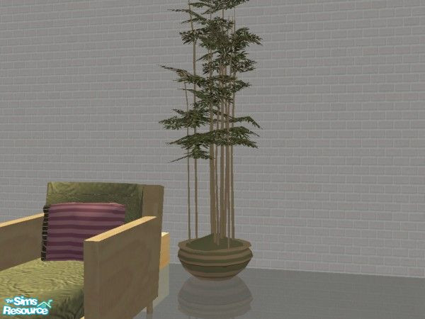 Sims 2 — Trendy Living-TC50 - Bamboo plant by MysticVelvet — Lovely trendy Lvingroom, made for the TC50. Requires