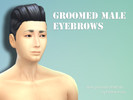Sims 4 — Groomed Male Eyebrows by kimikoprincess — Groomed male eyebrows It is a stand-alone item, not a recolor, so it