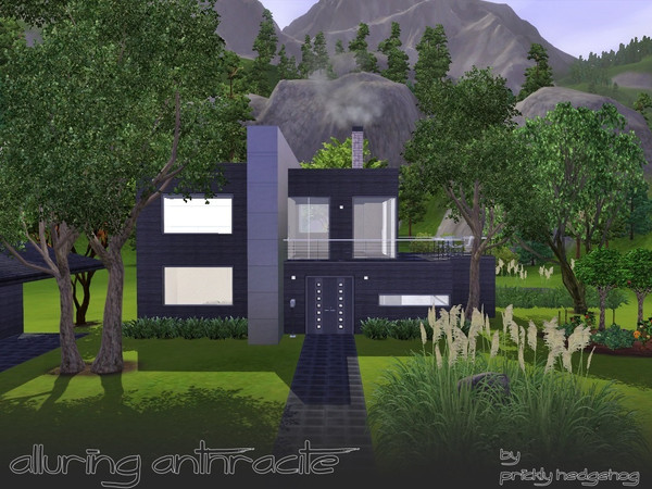 Sims 3 — Alluring Anthracite by Prickly_Hedgehog — A cozy, modern home with two bedrooms and two bathrooms. Pool and