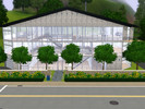 Sims 3 — Glass Mansion by SayuriSakurai2 — Some people like to live in luxury. This home costs more than 400,000