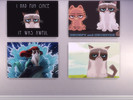 Sims 4 — Grumpy Cat Wall Decoration by Xrinna — Details: * Decorations | Wall Decoration * 4 Grumpy Cat Wall Decorations