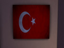 Sims 4 — Flag of Turkey & East Turkestan by Bozkurt20 — Grunge Flag of the Republic of Turkey. Description: The flag