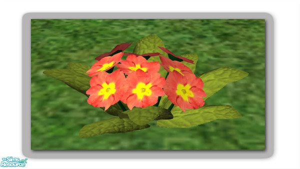 Sims 2 — Primula - Recol02 by Shakeshaft — Part of a recolour of the flowers from my cottage garden set...to add even