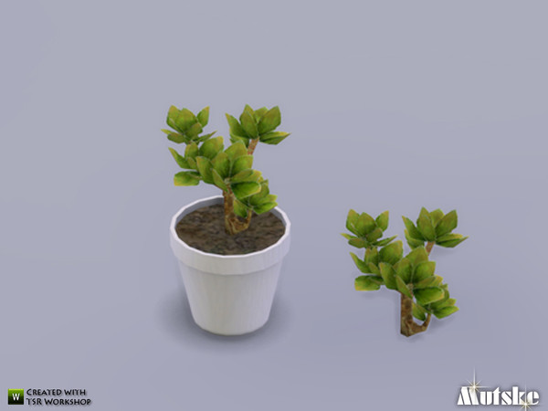 Sims 3 — Cactus C by Mutske — Nice plant to decorate a sim home. Just give him enought water and the plant will love you.