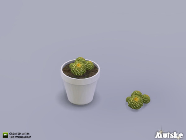 4 — Cactus E by Mutske — Nice plant to decorate a sim home. Just give him enought water and the plant will love you. Made