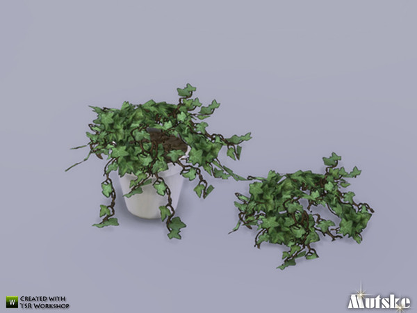 4 — Ivy Large Plant by Mutske — Nice plant to decorate a sim home. Just give him enought water and the plant will love