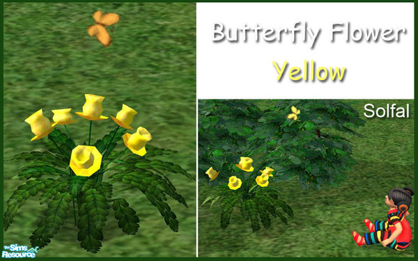 Sims 2 — Butterfly Garden Flower Yellow by solfal — Do you love the butterflies! You can have them in the garden all the