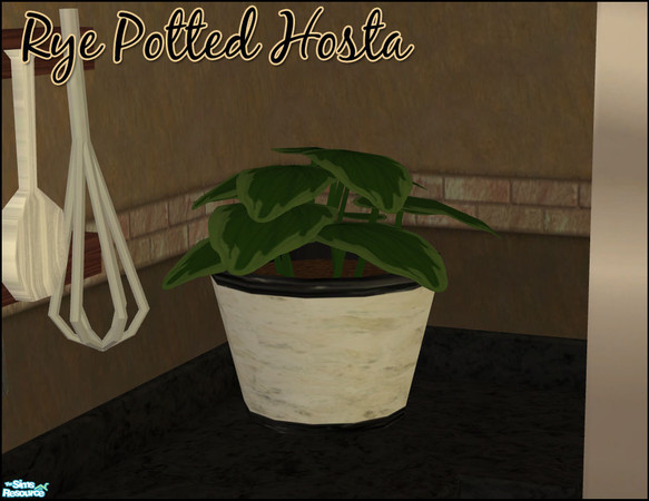 Sims 2 — Rye Kitchen Set - Hosta by sim_man123 — New Hosta Mesh, part of my Rye Kitchen.