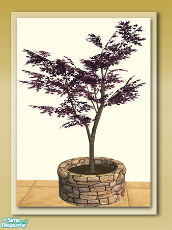Sims 2 — Maple Tree 02 by Shakeshaft — Part of a recolour set of the Round Stone Potted Plants in my Garden Delights Set,