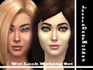 Sims 4 — Wet Look Makeup Set by littledeafmonkey — Contains three items: Wet Look Blush Wet Look Eye-Shadow Wet Look Lip