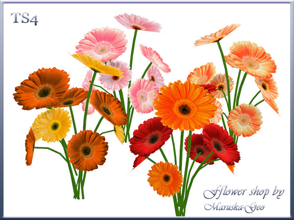 Sims 4 — M-Geo Fflower shop flowers 1 by Maruska-Geo — Maruska-Geo Fflower shop flowers 1. Gerberas